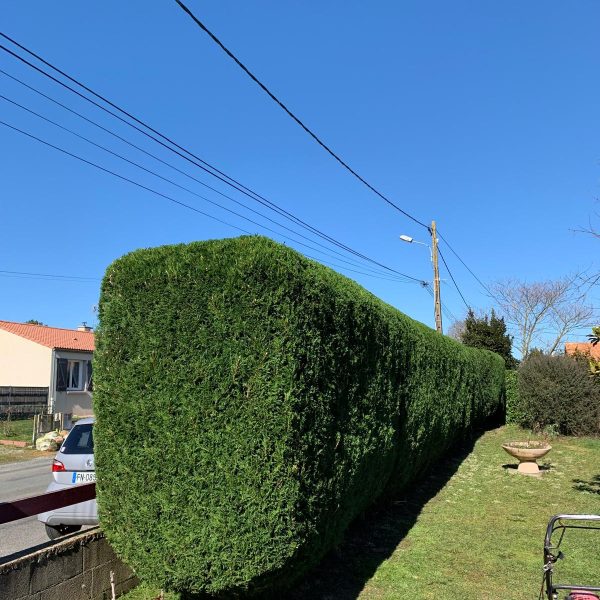 PHOTO-2026-01-30-09-09-15