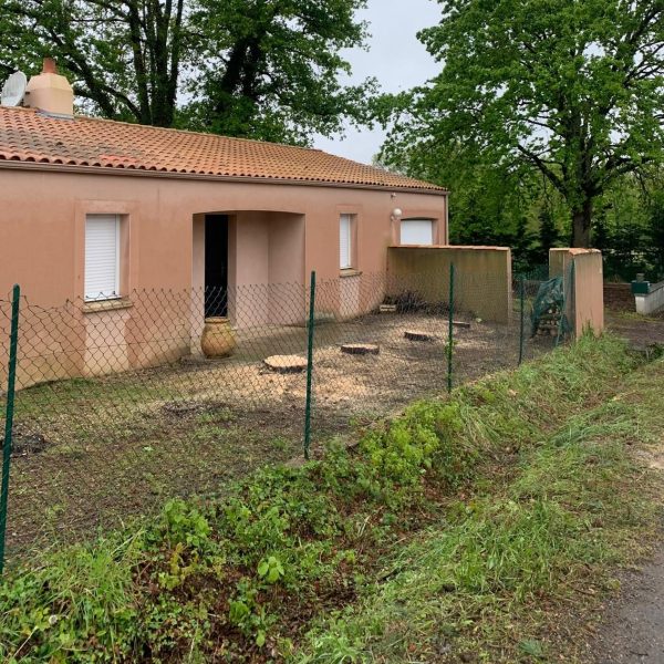 PHOTO-2026-01-30-09-09-19-3